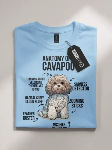 Cavapoo shirt, anatomy dog shirt, cavapoo infographic tee – light blue