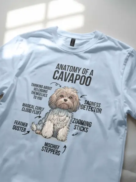 Cavapoo shirt, anatomy dog shirt, cavapoo infographic tee – light blue