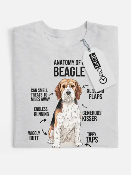 Sport grey Beagle gift shirt with infographic design