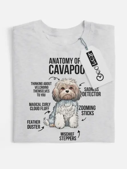 Cavapoo shirt, designer dog breed shirt, funny dog lover shirt – sport grey