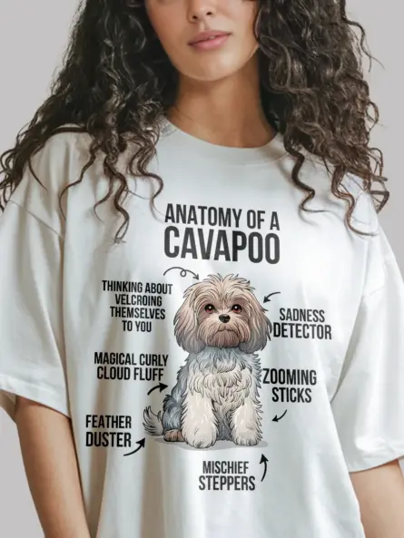 Cavapoo shirt, curly dog shirt, cavapoo infographic tee – white color