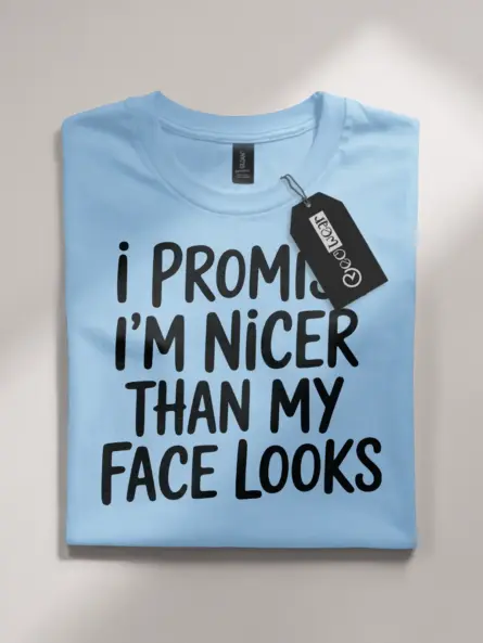 Dark Heather Shirt Front – I’m Nicer Than My Face Looks – resting face humor t-shirt