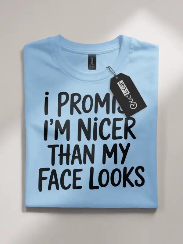 Dark Heather Shirt Front – I’m Nicer Than My Face Looks – resting face humor t-shirt