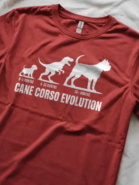 Hilarious Cane Corso Evolution Shirt – Funny Dog Growth Tee - Image 2